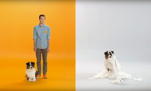 The Dogtopia Difference