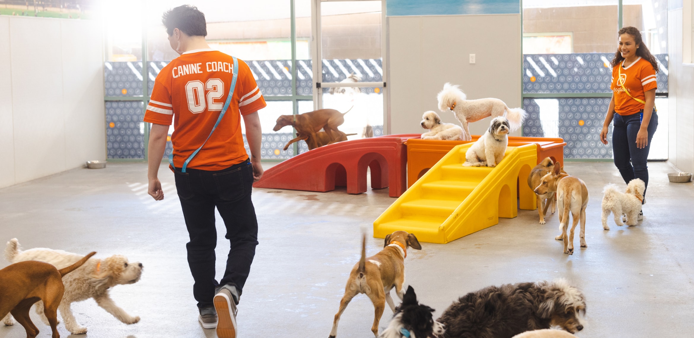 Dogtopia Canine Coaches in playroom at Dogtopia with dogs