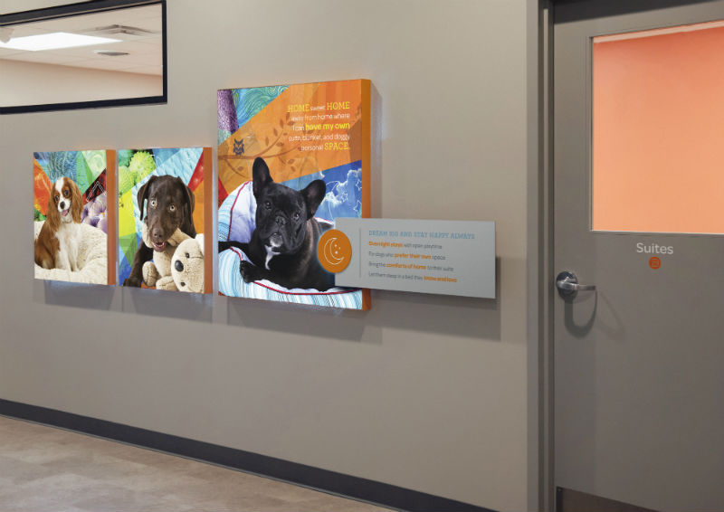 Hallway with a door leading to boarding suites at Dogtopia of South Elgin.