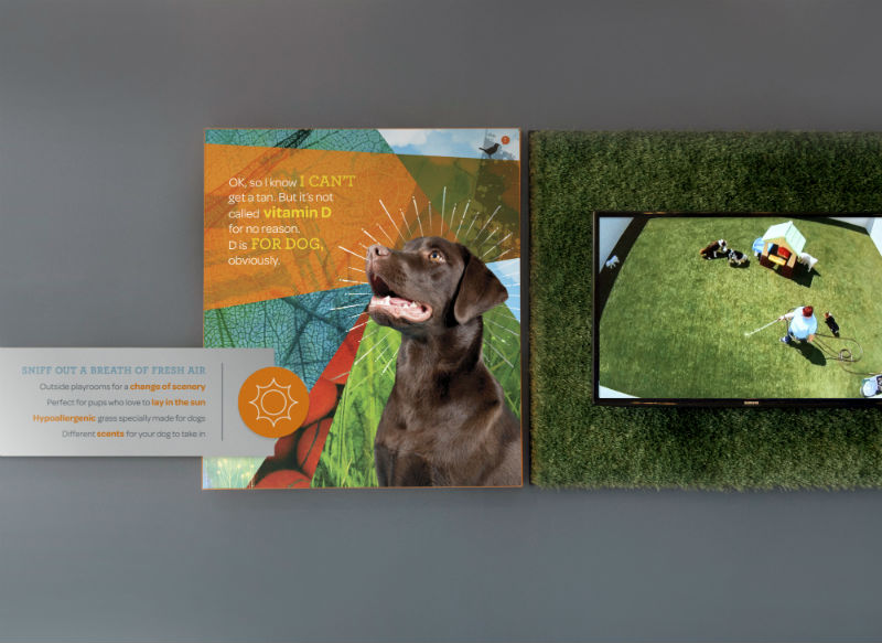 View of the Dogtopia of South Elgin outdoor playground through the webcam.