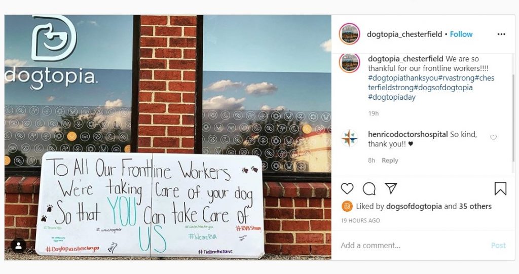 Dogtopia of Chesterfield