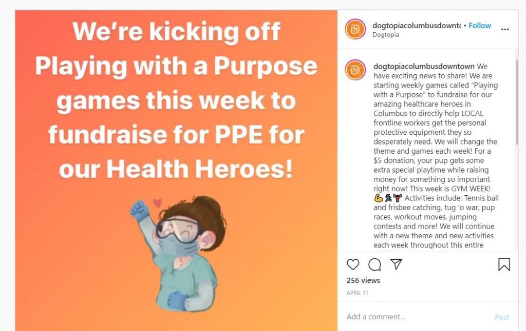 Dogtopia of Columbus Downtown