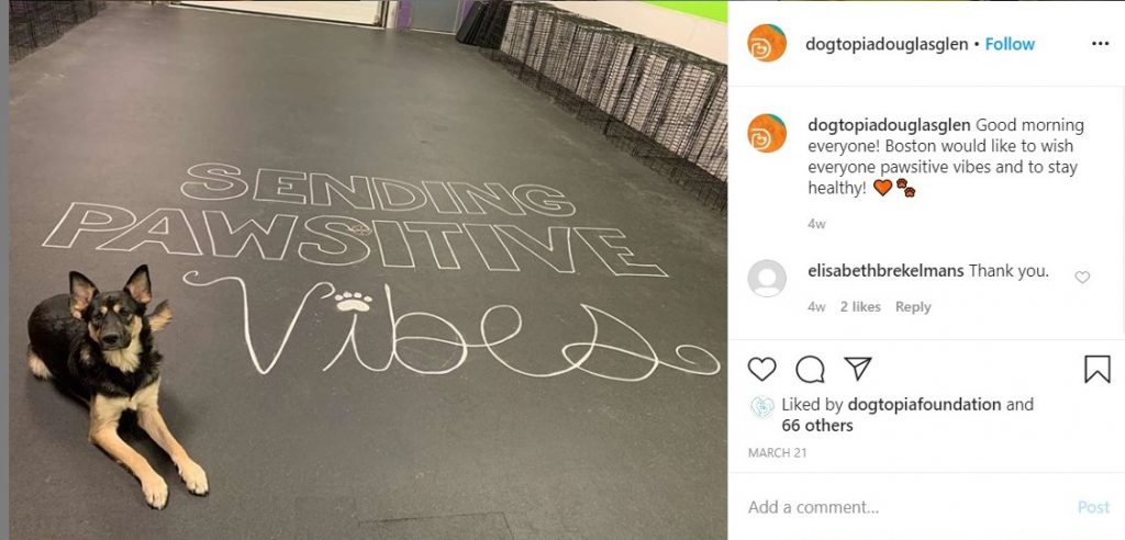 Dogtopia of Douglas Glen