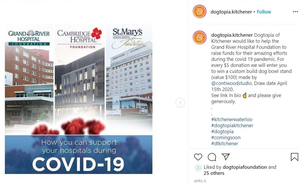 Dogtopia of Kitchener