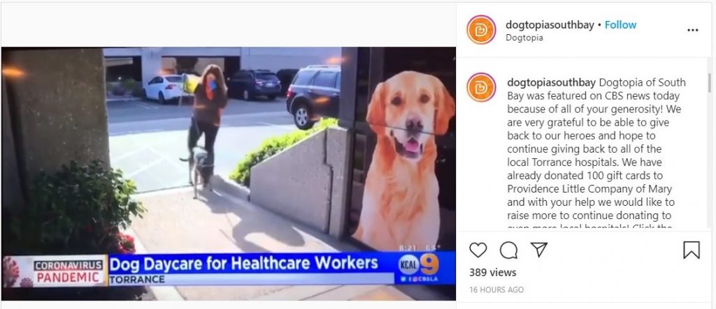 Dogtopia of South Bay