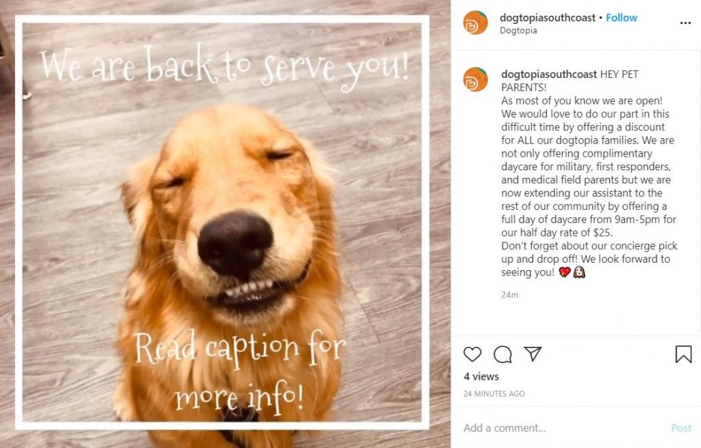 Dogtopia of South Coast