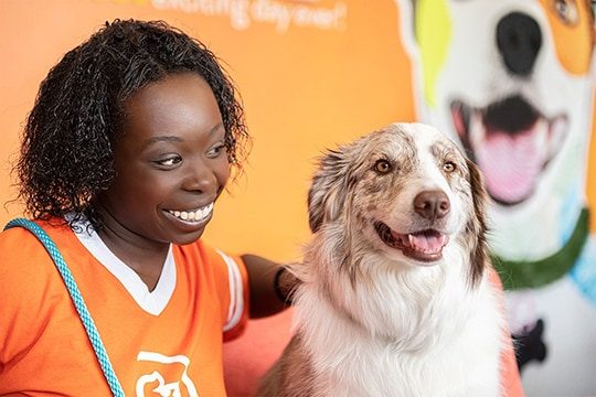 Dogtopia worker petting a dog