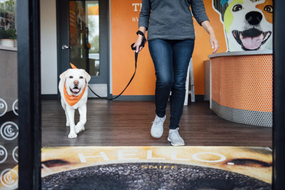 Dog on a leash exiting a Dogtopia lobby.