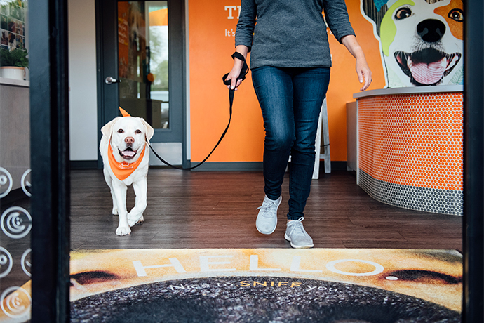 A person walking a lab on a leash out of the door of a Dogtopia lobby.