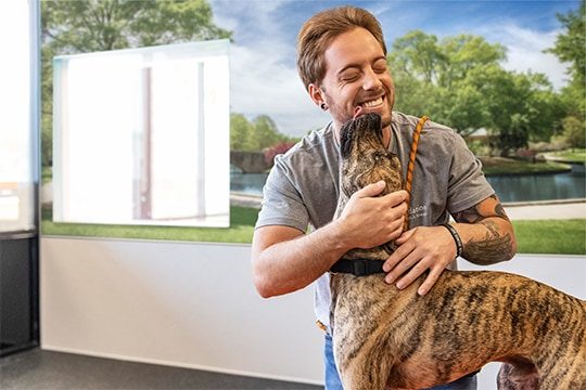 Dogtopia worker hugging and getting licked by a dog
