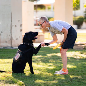 Person holding paw of service dog