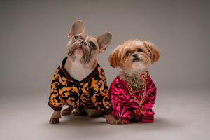 Two dogs beside each other wearing costumes
