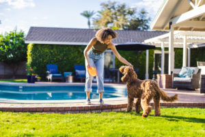 Woman petting dog holding an orange frisbee