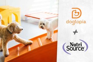 Dogtopia and Nutri Source