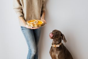 Woman holding pie on a plate beside a brown dog
