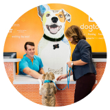 Dog at lobby at Dogtopia with front paws on desk next to two people
