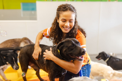 A Dogtopia Canine Coach hugging and petting a brown lab.
